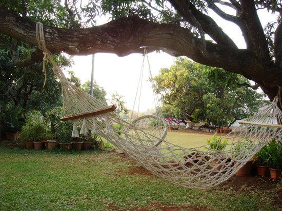 V Resorts Mahua Bagh Murud Nāndgaon Zewnętrze zdjęcie